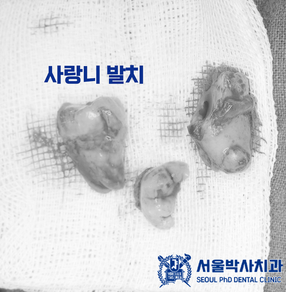 태평동치과