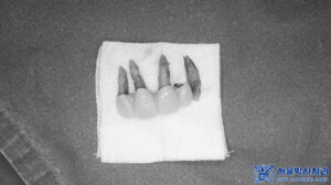 단대오거리치과