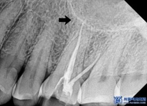 단대오거리치과