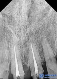 단대오거리치과
