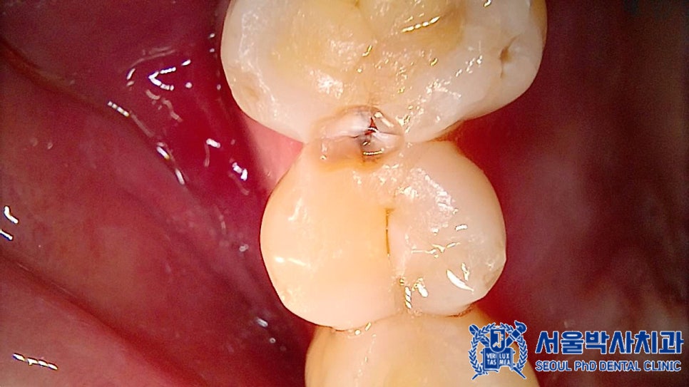 단대오거리치과