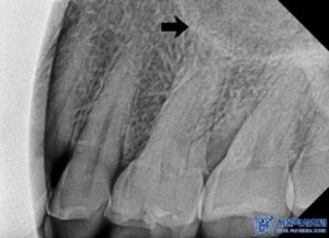단대오거리치과